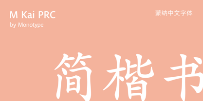 M Kai PRC Police Poster 1
