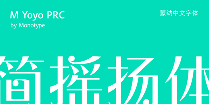 M Yoyo PRC Police Poster 1