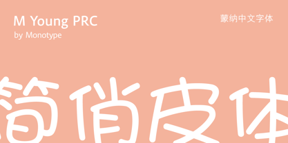M Young PRC Font Poster 1