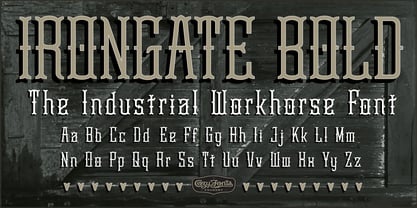 Irongate Font Poster 4