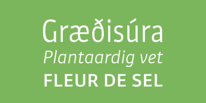 Plantago Font Poster 2