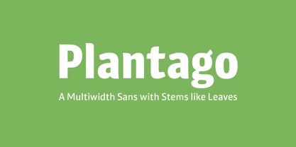 Plantago Font Poster 1