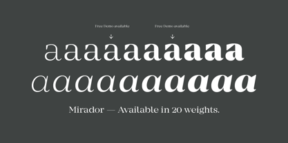 Mirador Font Poster 11