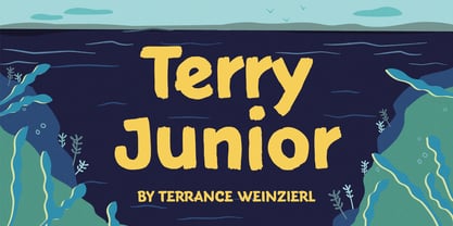 Terry Junior Font Poster 1