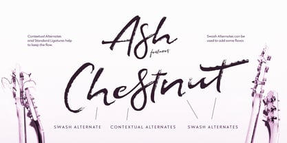 Ash Font Poster 8