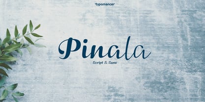 Pinala Font Poster 10