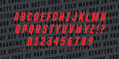 Rocinante Titling Font Poster 8