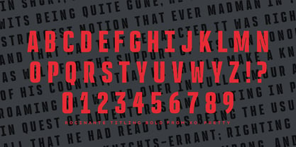 Rocinante Titling Font Poster 7