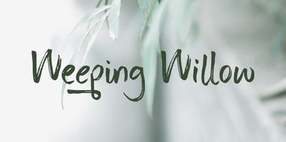 Weeping Willow Font Poster 1