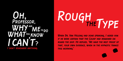 Rough The Type Font Poster 1