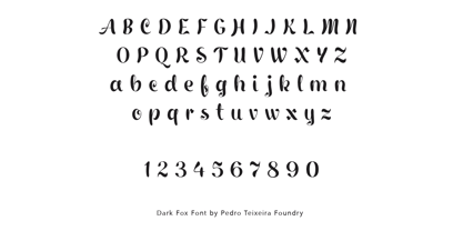 Dark Fox Font Poster 3