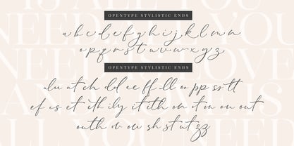 Stay Classy Font Duo Font Poster 12