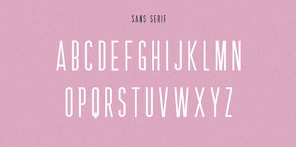 Beauty Style Font Poster 7