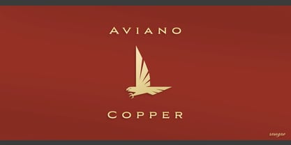 Aviano Copper Police Poster 1