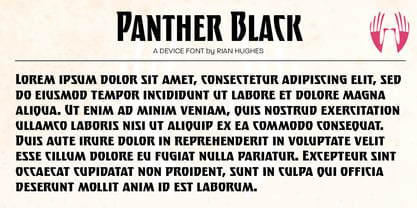 Panther Black Fuente Póster 4