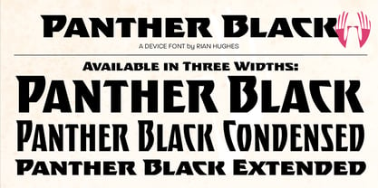 Panther Black Font Poster 5