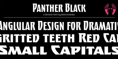 Panther Black Font Poster 1