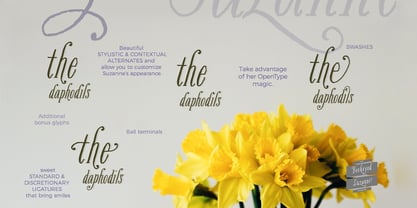 Bookeyed Suzanne Font | Webfont & Desktop | MyFonts