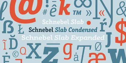 Schnebel Slab Pro Font Poster 2