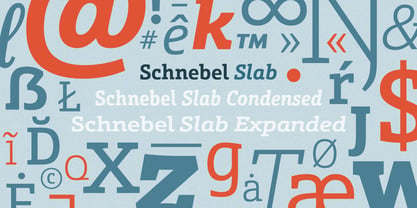 Schnebel Slab Pro Font Poster 3