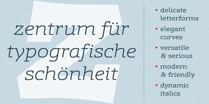 Schnebel Slab Pro Font Poster 5