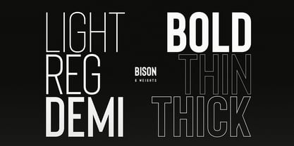 Bison Font Poster 2