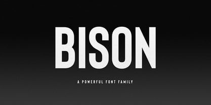 Bison Font Poster 1