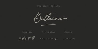 Bullaina Font Poster 5
