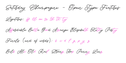 Saturday Champagne Font Poster 5