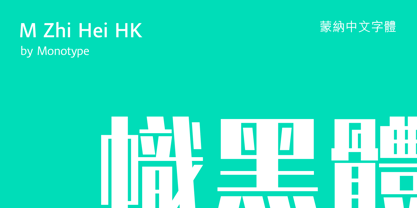 M Zhi Hei HK Font Poster 1