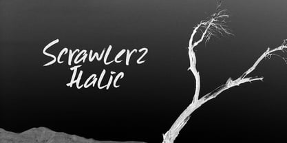 Scrawlerz Font Poster 1