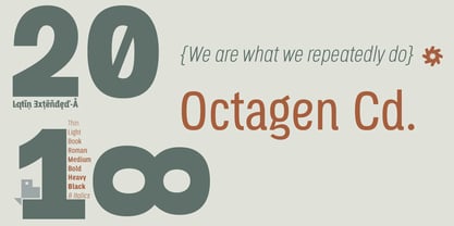 Octagen Condensed Font Poster 9