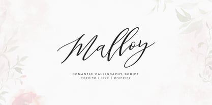 Malloy Font Poster 6