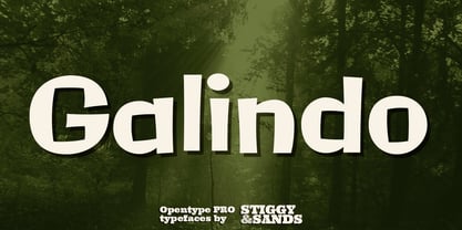 Galindo Pro Font Poster 1