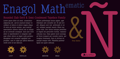 Enagol Math Police Poster 1