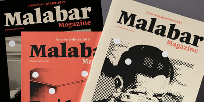 Malabar fuente Póster 1