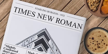 Times New Roman Font Poster 1