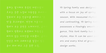 YD Spring Font Poster 5