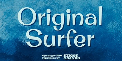 Original Surfer Pro Police Poster 1