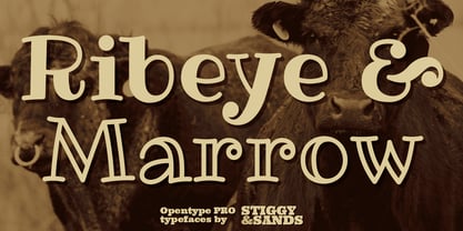 Ribeye Pro Font Poster 1