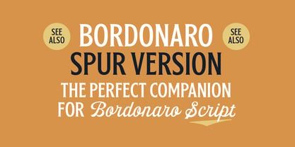 Bordonaro Script Fuente Póster 17