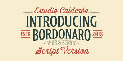 Bordonaro Script Font Poster 1