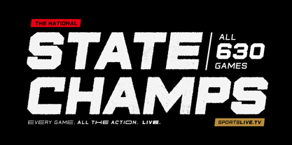 State Wide Font Poster 12