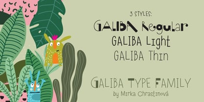 Galiba Font Poster 7