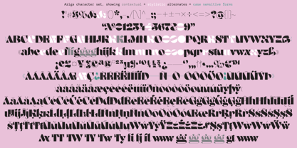 Aziga Font Poster 9