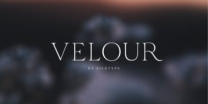 Velour Font Poster 1