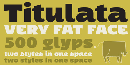 Titulata Font Poster 3