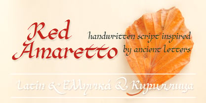Red Amaretto Font Poster 6