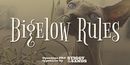 Bigelow Rules Pro Font Poster 5
