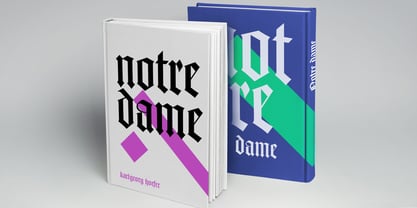 Notre Dame Fuente Póster 1